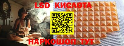 ПСИЛОЦИБИНОВЫЕ ГРИБЫ Новозыбков