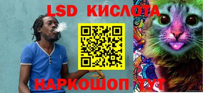 ПСИЛОЦИБИНОВЫЕ ГРИБЫ Новозыбков